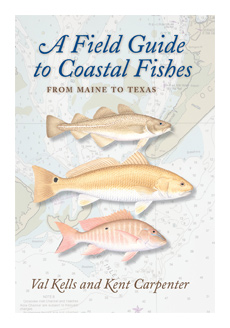A Field Guide to Coastal Fishes: From Alaska to California